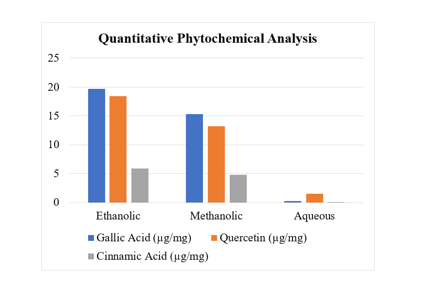 Synergistic Effects of Herbal Extracts in Combination with Conventional Antibiotics - Issue cover