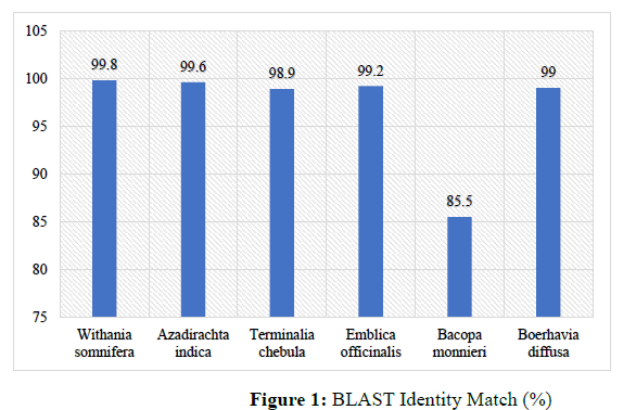Microscopic, Macroscopic, and DNA Barcoding Techniques for Authentication of Crude Herbal Drugs - Issue cover